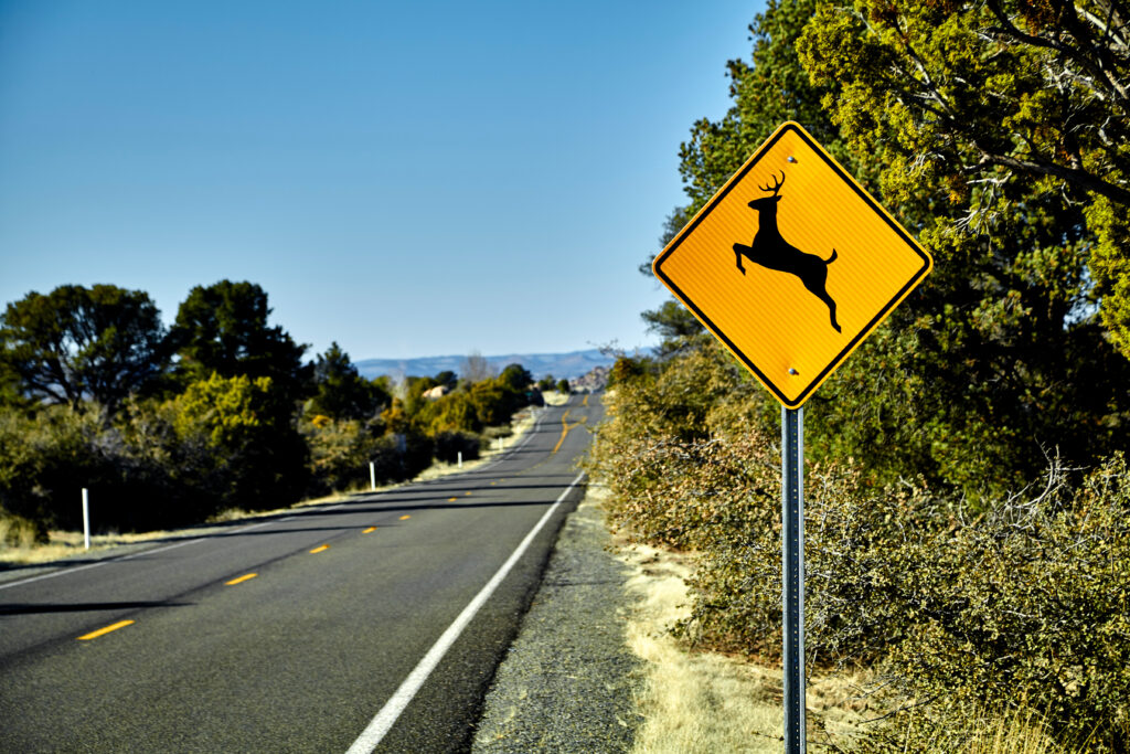 Deer Sign Meaning Driving